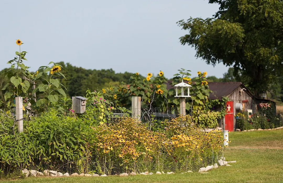 Applesauce Inn Bed & Breakfast-1